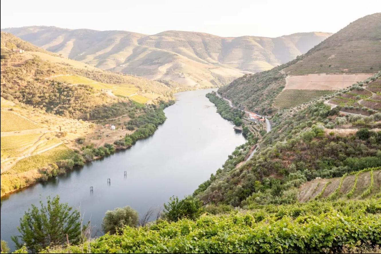 Quinta De Merouco - Casa Do Rio Cotas Экстерьер фото